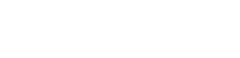 Ruud den Hartog